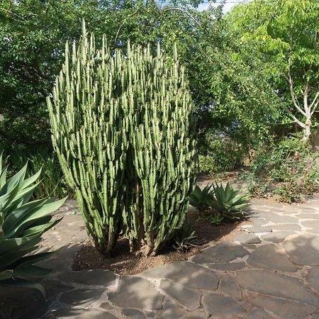 La Casa Del Campo Villa Vega de San Mateo Ngoại thất bức ảnh